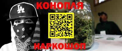 шишки Апшеронск