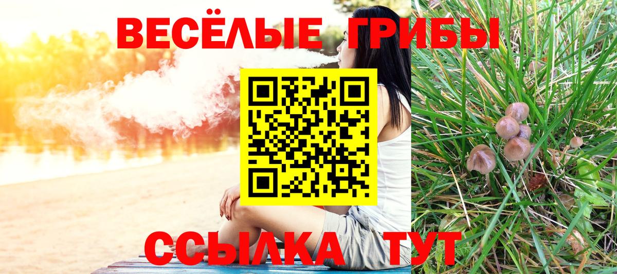 Псилоцибиновые грибы ЛСД Белебей